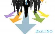 Career Coaching